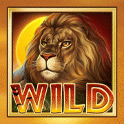 lions_paradise_high_symbols_animation